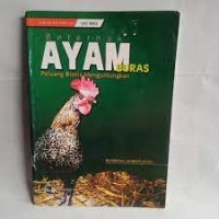 BETERNAK AYAM BURAS PELUANG BISNIS MENGUNTUNGKAN